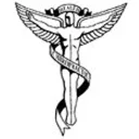 Washington Chiropractic