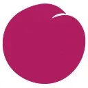 Plum Market