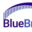BlueBridge Networks