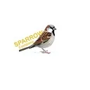 Sparrow Company