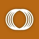 FI Consulting