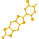 Restoration Medical Polymers