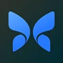 Butterfly Network
