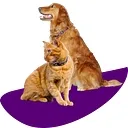 Country View Veterinary Hospital