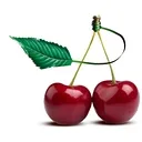 Adjuvo Technologies Llc