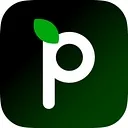 Paerpay