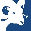 RAM Windows