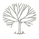 Olive Tree Catering