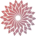 AllHealth Network