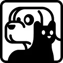 Companion Pet Hospital