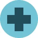 City Pets Vet