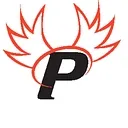 Paragon Cyber Solutions