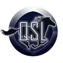 Quick Services LLC