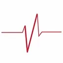 Pulse Vascular