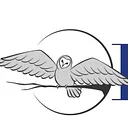 Hired LLC