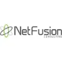 NetFusion Consulting, Inc.