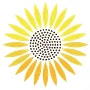 Sunflower Medical Group