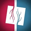 White Square Vascular Surgery PA