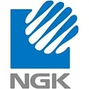 NGK Detroit
