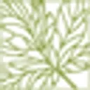 Lowcountry Dermatology