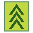 Evergreen Insurance