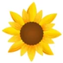 Little Seeds Child Development Cent