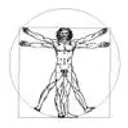 SHEFFRIN MEN'S HEALTH