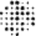 Precision Neuroscience