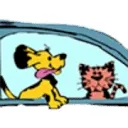 North Suffolk Animal Clinic