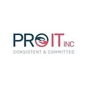 pro it